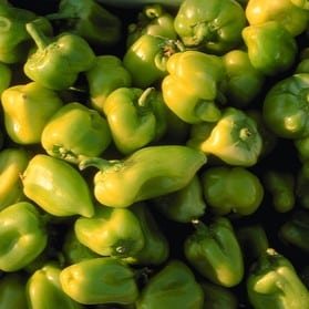 Fresh green bell peppers piled up at produce stand
